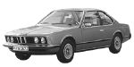 BMW E24 B250A Fault Code